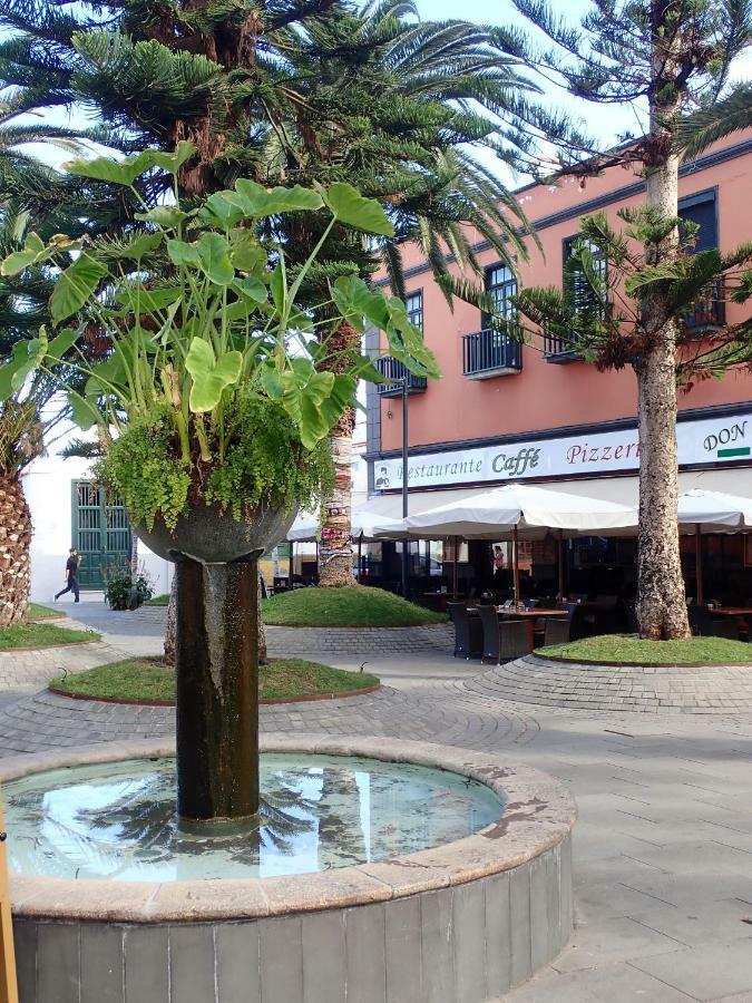 Ferienwohnung Cerca De Playa Jardin Puerto de la Cruz  Exterior foto